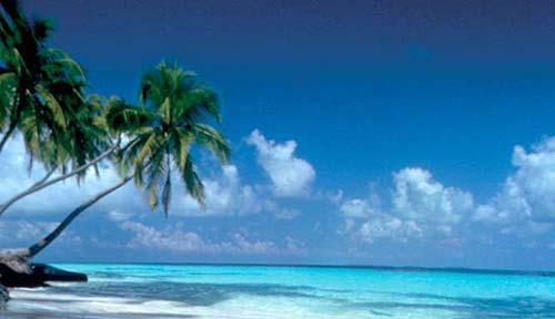 Caraibi