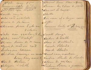 Diario di Viaggio
