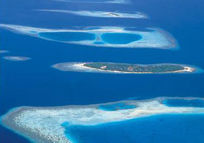Maldive