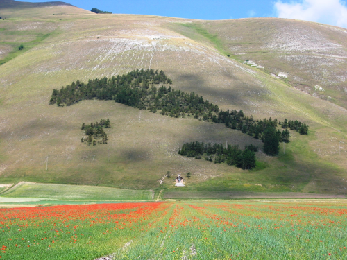 Castelluccio di Norcia