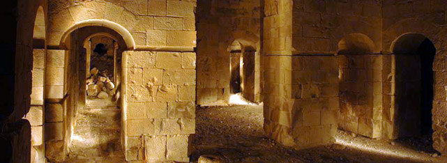 Da Petra a Shawbak