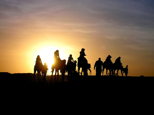 Cammellata nel deserto tunisino al tramonto