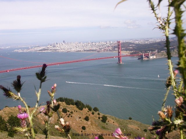 Baia_San_Francisco