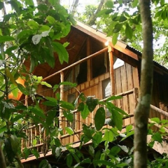 Costarica