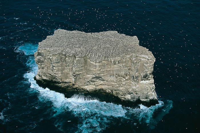 IsolaEldey