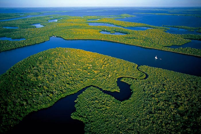 EvergladesNationalParkFlorida