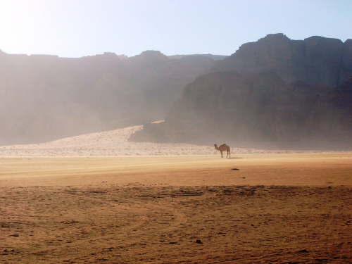 Deserto Wadi Rum