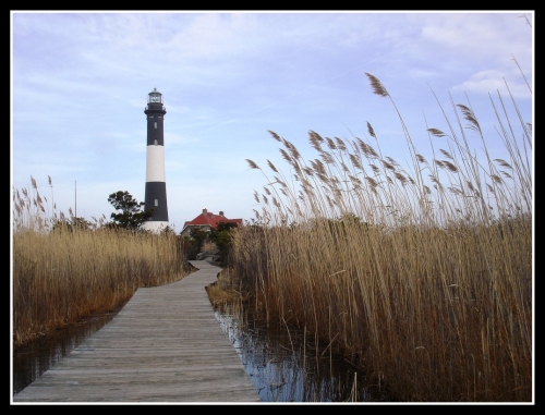 Fire Island (New York)