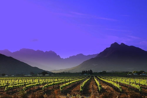 Winelands Sud Africa
