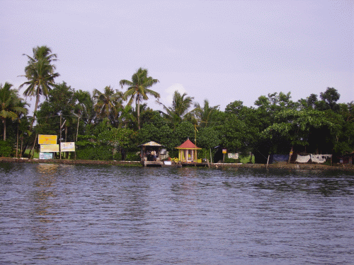 Kerala_backwaters