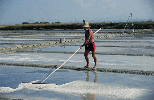 saline-cervia