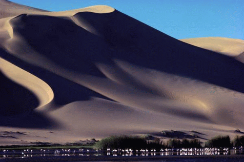 Deserto della Namibia