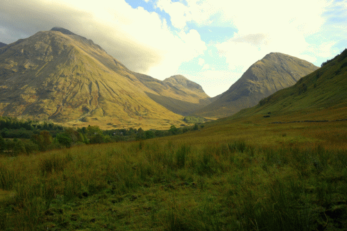 Highlands scozzesi