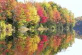 colori d'autunno nel Vermont