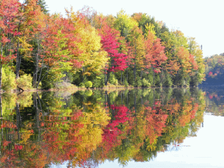 colori d'autunno nel Vermont