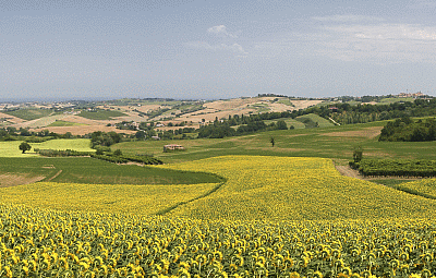 panoramica entroterra romagnolo