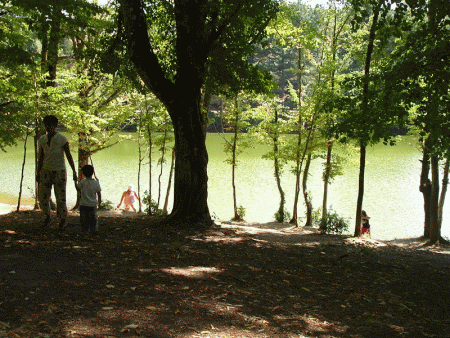 Foresta Umbra Gargano