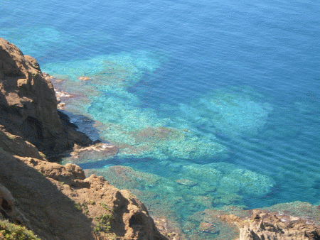 ustica
