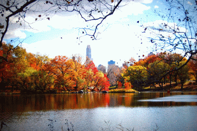 New York autunno foliage