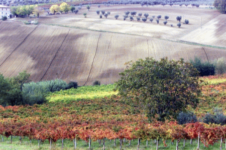 strada del Sagrantino