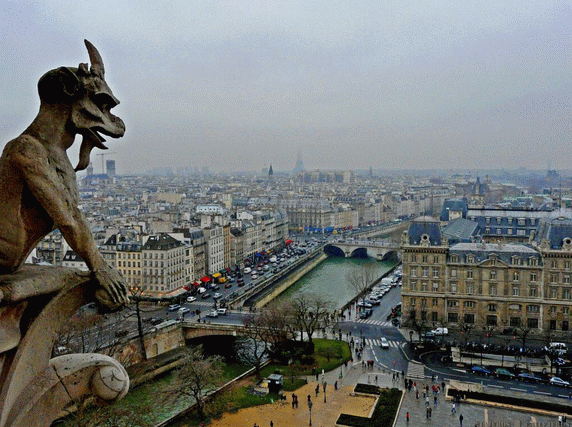 parigi vista dall alto della cattedrale di Notre Dame