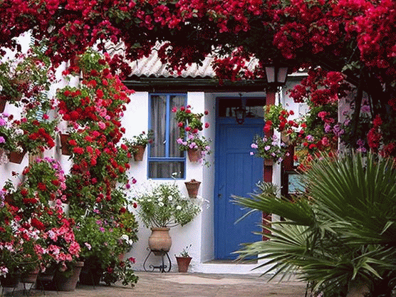 maggio festa dei fiori a Cordova Spagna