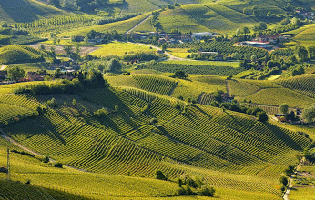 Langhe Roero Monferrato