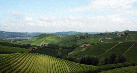 barbaresco