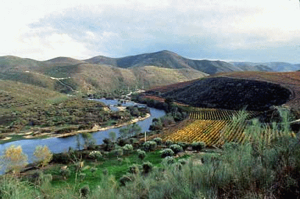 Valle del Coa Portogallo UNESCO