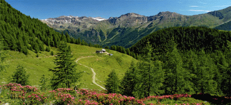 Val di Sole Trentino