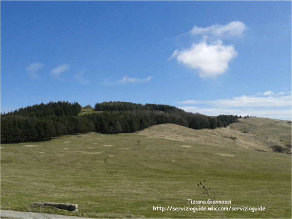 Veduta dal Monte Carmine Avigliano Potenza