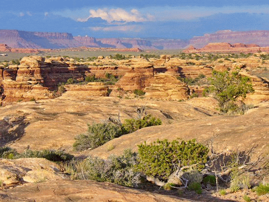 Slickrock Trail Utah USA fotospettacolari