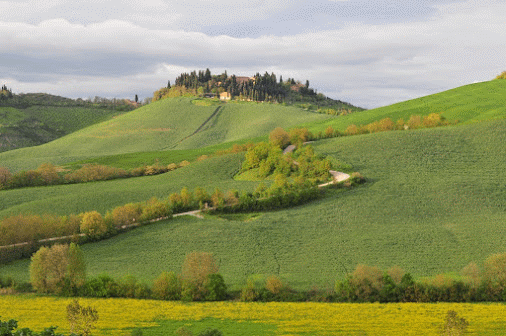 Le colline nel senese