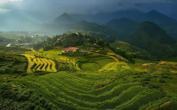 Risaie nel Vietnam