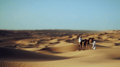 oman deserto cammello