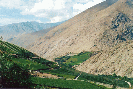 Norte Chico cile valle di Elqui