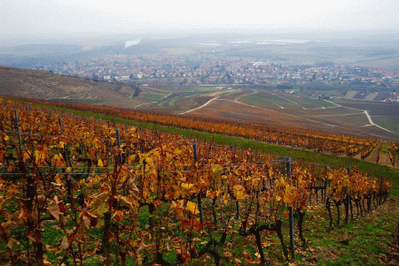 tokaj-ungheria