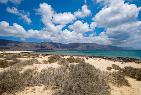 canarie